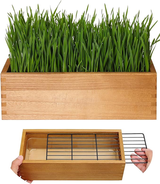 Wooden Cat Grass Planter (no Seeds Included) Anti Digging Design | with Potting Soil Disks, Anti-Digging Grid and Removable Plastic Liner, Wheat Grass Growing Pot for Indoor Cats Rabbits Pets