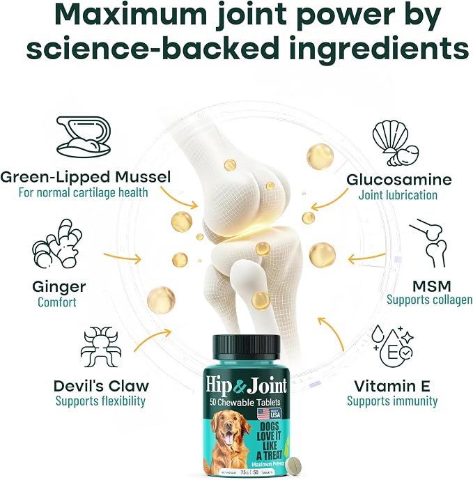 Hip & Joint Supplement for Dogs, 300mg Green-Lipped Mussel for Dog Arthritis Pain Relief, Glucosamine, MSM & Chondroitin, Zero Sugar, Large Medium Small Breeds, 100 Chewable Tablets