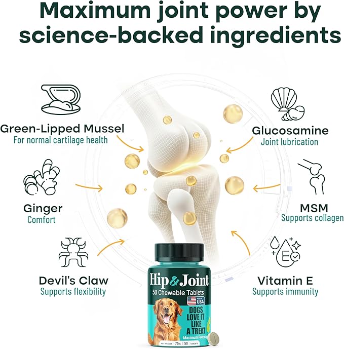 Hip & Joint Supplement for Dogs, 300mg Green-Lipped Mussel for Dog Arthritis Pain Relief, Glucosamine, MSM & Chondroitin, Zero Sugar, Large Medium Small Breeds, 50 Chewable Tablets