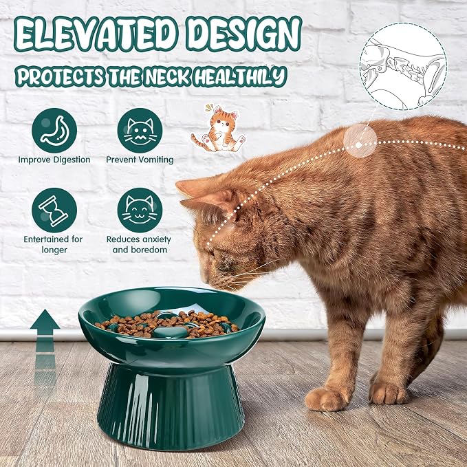 Tioncy 2 Pcs Raised Cat Slow Feeder Bowl Ceramic Elevated Cat Dog Food Bowl No Spill High Edge for Dry Wet Food and Water Easy to Clean, Dishwasher Safe (Dark Green)
