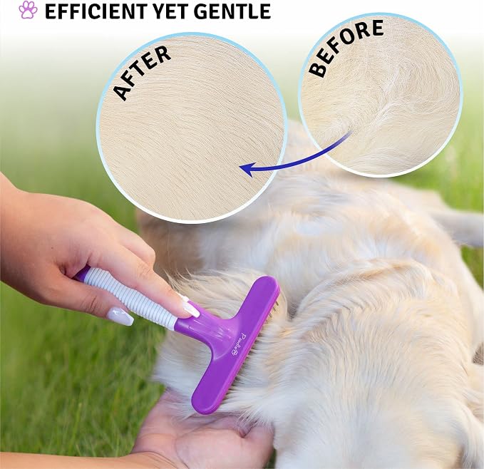 Poodle Pet Bundle - Slicker Brush for Small and Large Dogs Pet Hair Remover Grooming Brush and Dog Grooming Rake Dematting Tool Removes Loose or Tangled Hair from Undercoat