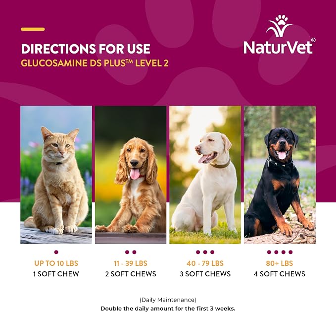 NaturVet – Glucosamine DS Plus - Level 2 Moderate Care – Supports Healthy Hip & Joint Function – Enhanced with Glucosamine, MSM & Chondroitin – for Dogs & Cats – 240 Soft Chews