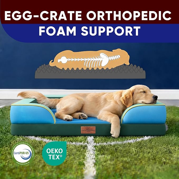 Comfort Expression Orthopedic Dog Bed for Extra Large Dogs 42x30 Inch, Waterproof Egg Crate Foam XL Pet Bed with Bolsters, Dog Couch with Washable Cover & Non-Slip Bottom, Dallas