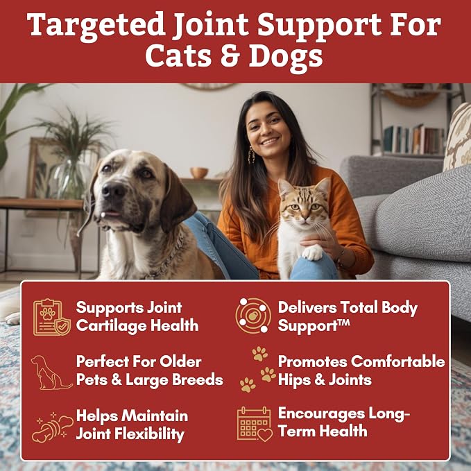 Wholistic Pet Organics Max Strength Hip and Joint Supplement for Dogs & Cats - Cat & Dog Joint Supplement Powder, Chondroitin & MSM to Support Mobility - Glucosamine for Dogs & Cats - 4 oz - 28 Scoops