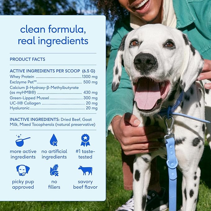 Native Pet Hip and Joint Supplement Dogs - Powder with UC-II Collagen and HMB - Senior and Large Breed Dog Joint Support - Made in USA - 120 Scoops