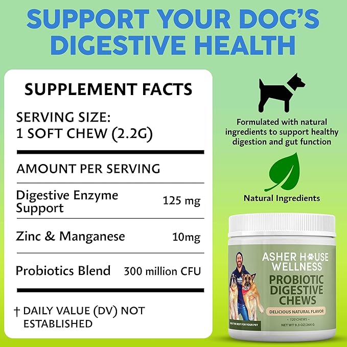 Asher House Wellness Probiotics Digestive Chew for Dogs - Now Lillie & Lee - Probiotic, Digestive Enzymes for Gut Health & Digestion - Pet Chews for Diarrhea, Upset Stomach - 120 Chews
