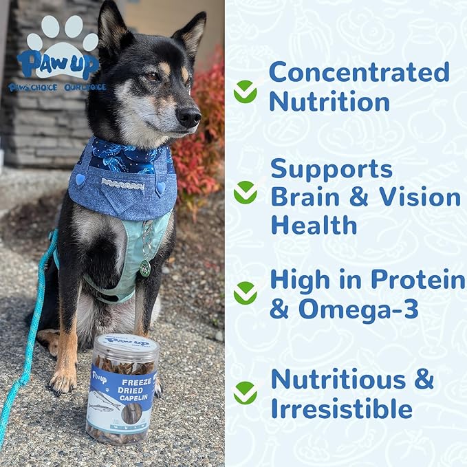 PAWUP Freeze Dried Capelin & Minnows Dogs Treats – Raw Single Ingredient Dog Fish Snacks, Rich in Omega-3 for Skin & Coat Health, Grain Free, 3.5oz