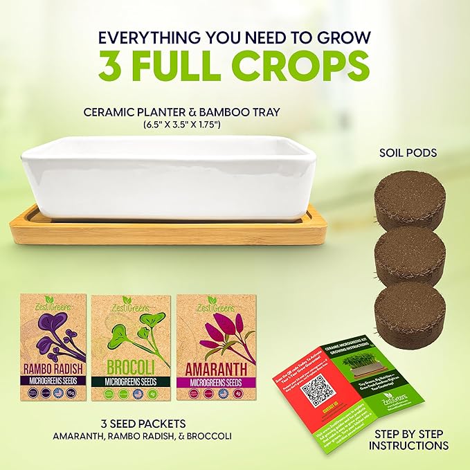 ZESTIGREENS Ceramic Microgreens Growing Kit to Grow 3 Crops Including Organic USDA Red Amaranth, Purple Rambo Radish & Broccoli Microgreens Seeds.