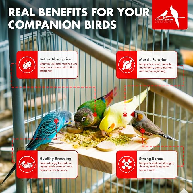 Morning Bird Calcium Plus Powder for Birds 4.5 oz – Calcium Supplement with Essential Vitamins & Minerals – Supports Bone Health, Muscle Function & Digestive Balance – Easy-to-Mix Calcium Formula