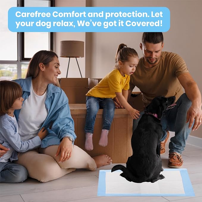 FPN Puppy Pads for Dogs 25 Count 24x36 Inch | Extra Large Disposable Pee Pads for Dogs & Puppies | Dog Training Pads for Potty Training, Pet Training Pads, Dog Pads XL
