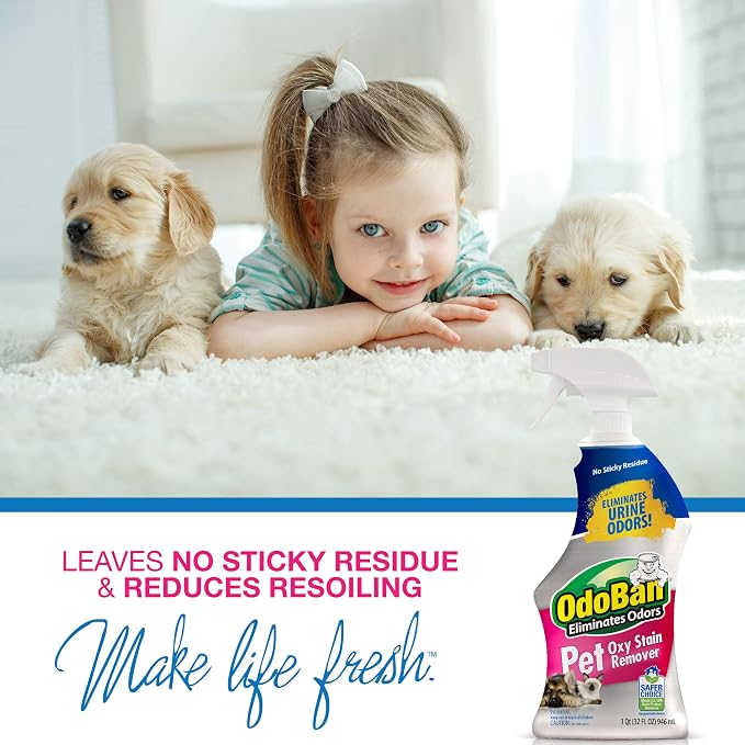 OdoBan Pet Solutions Oxy Stain Remover, Pet Stain Eliminator, 3-Pack, 32 Ounce Spray Each
