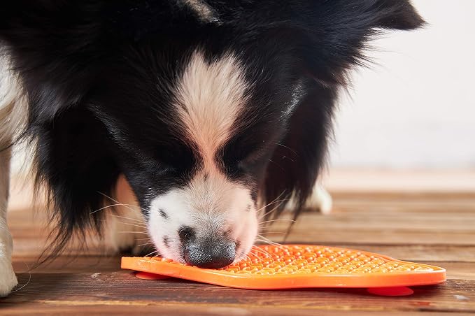 PetDreamHouse PAW 2-in-1 Slow Feeder Interactive Bowl and Removable Lick Mat Pad for Dogs, Puppies or Cats Plate Food Treats Controls Fast Eating Anti Bloating - Orange
