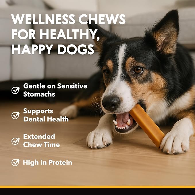 Eli Himalayan Dog Chew – 100% Natural, Long-Lasting Chews for Dogs 11–22 lbs, Protein-Rich, Gluten Free, Grain Free, Lactose Free, Safe & Healthy Dental Treats – Size Medium, 4 Pack