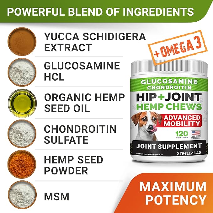 STRELLALAB Hemp Chews for Dogs - Hip & Joint Supplement with Glucosamine - Joint Pain Relief Treats - Omega 3, Chondroitin, MSM - Advanced Mobility Support - Bacon Flavor - 120 Ct - Made in USA