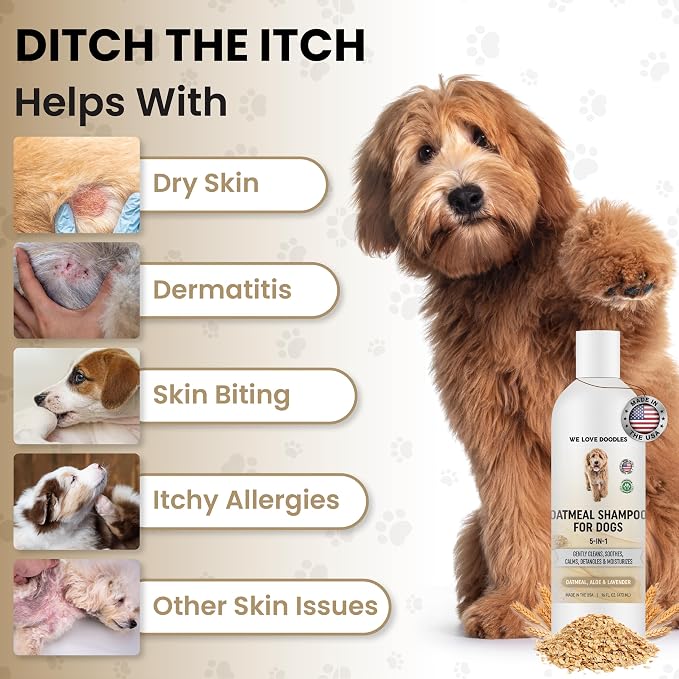 We Love Doodles Premium Oatmeal Shampoo & Slicker Brush for Dogs - Gentle for Itchy & Sensitive Skin, Hypoallergenic & Soothing for Dry Skin, Moisturizing Anti-Itch, Brush for Grooming, Made in USA