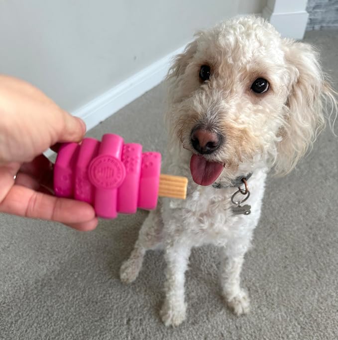 HIVE Parent (Wild Berry, Hive Chew Toy for Small Dogs)