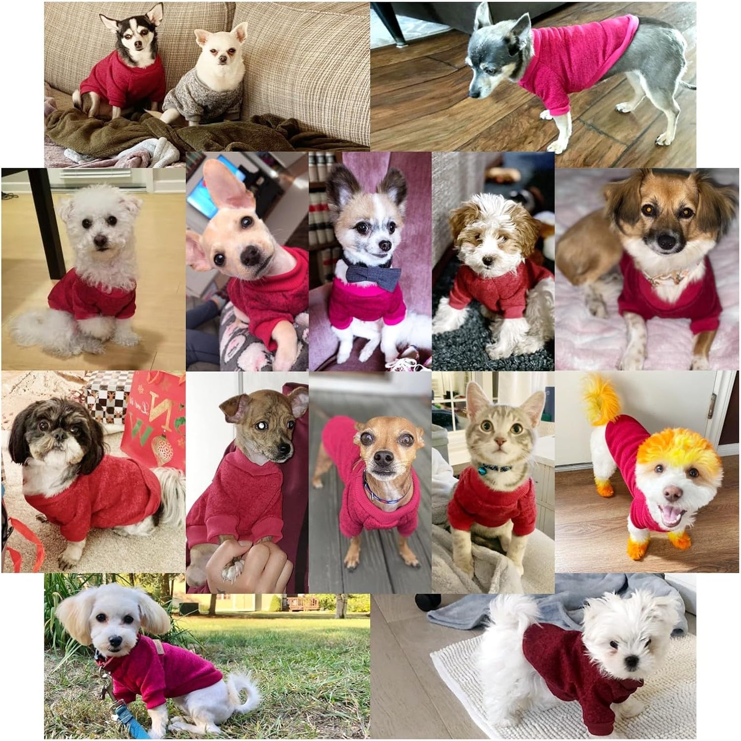 Jecikelon Dog Clothes Dogs Sweater Soft Puppies Clothing Winter Puppy Sweaters Warm Outfit for Dogs Small XXS XS Cat Apparel (Wine red, S)