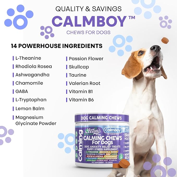 Clean Nutra Calming Chews for Dogs, Dog Anxiety Relief Supplement, L Theanine Ashwagandha Rhodiola GABA Magnesium Valerian Natural Ingredients, 90 Chews, Beef Flavor