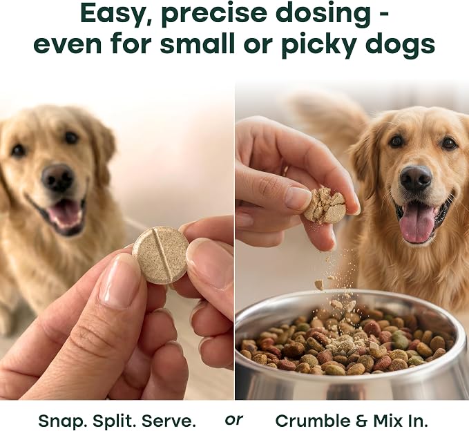 Hip & Joint Supplement for Dogs, 300mg Green-Lipped Mussel for Dog Arthritis Pain Relief, Glucosamine, MSM & Chondroitin, Zero Sugar, Large Medium Small Breeds, 200 Chewable Tablets