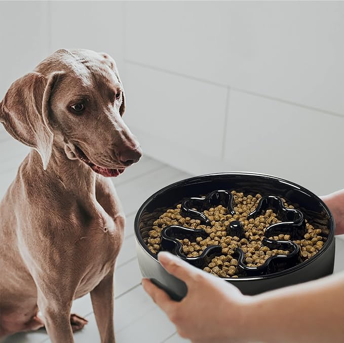 Slow Feeder,Ceramic-Slow Feeder Dog Bowls Medium Breed,Puzzle Food Bowl Maze,2.5 Cups Slow Feed Dog Bowl for Medium Dogs,Black