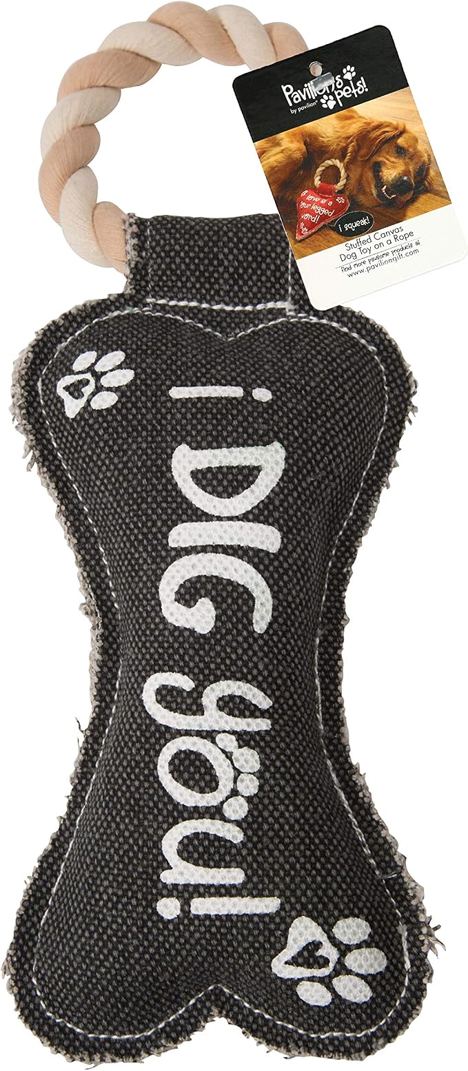 Pavilion Gift Company 45609 Pavilion's Pets-Gray Bone Canvas and Rope Dog Squeaky Toy-I Dig YouDog Toy, Large Breed