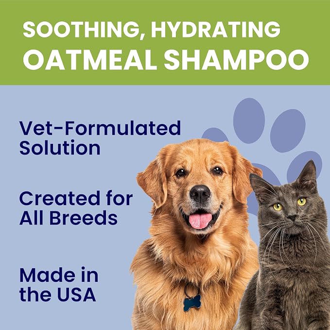 Healthy Paw Life Oatmeal Dog Shampoo for Dry Itchy Skin Relief - 1 Gallon Bulk Pet Wash for Dogs, Cats & Horses - Soothing Colloidal Oatmeal Formula for Sensitive Skin & Coat Care