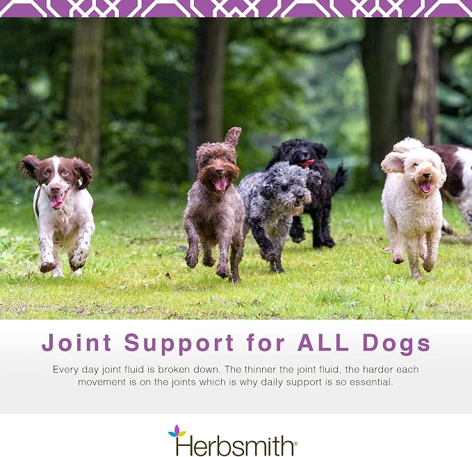Herbsmith 75g Powder Advanced Joint Support Sound Dog Viscosity Veterinarian Recommended Glucosamine for Dogs