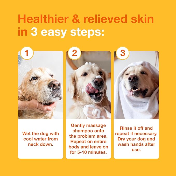 Douxo S3 PYO Chlorhexidine Shampoo For Dogs, Medicated Shampoo Antibacterial & Antiseptic, Yeast Infection Treatment for Dogs & Cats, Clinically Proven, 16.9 fl oz