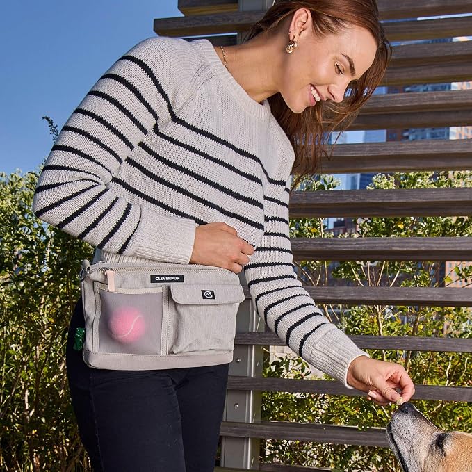 Cleverpup Dog Walk & Train Sling Bag - Hands-Free Dog Walking & Training Bag with Treat Pouch, Poop Bag Holder & Phone Pocket - Crossbody or Fanny Pack, Adjustable Strap - Sand