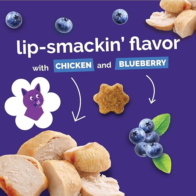 Fruitables Cat Treats, Healthy Treats For Cats, Low Calorie and Packed with Protein, Crunchy Biscuits, No Wheat, Corn or Soy, Made with Real Chicken and Blueberry, 2.5oz