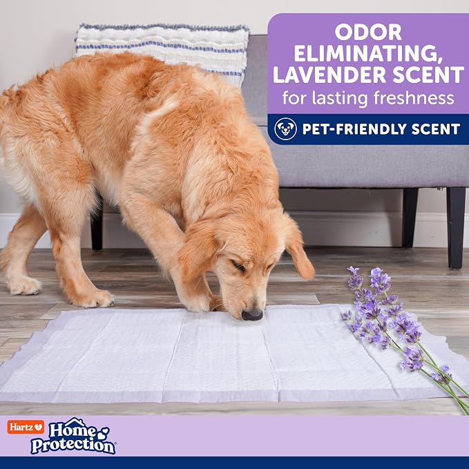 Hartz Home Protection Super Absorbent Odor Eliminating Lavender Scented No Leak Dog Pads, 3XL 30 Count