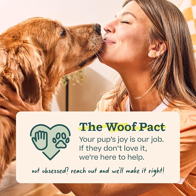 WOOF Party Pupsicle - Long-Lasting Interactive Dog Toys for Boredom - Low-Mess Design - Birthday Gifts for Dogs - Large Dog Toys - Party Pink