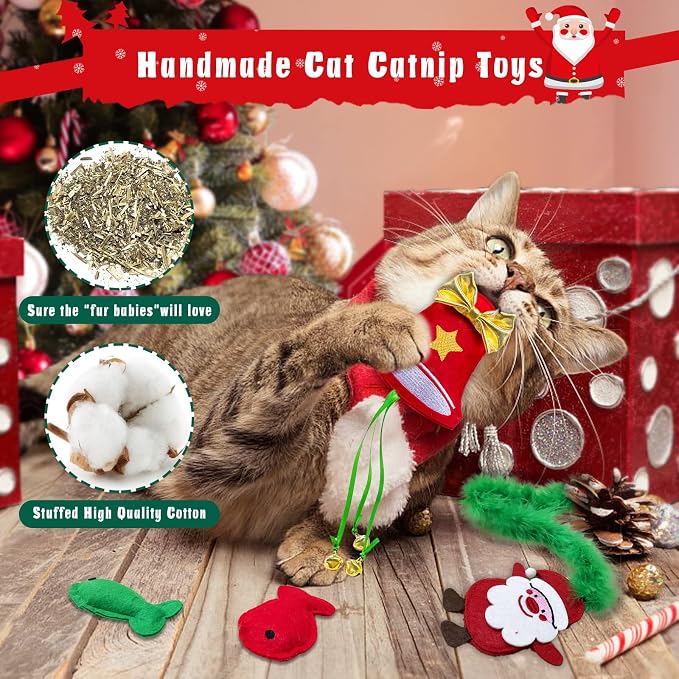 Cat Christmas Stocking, 10 Pack Christmas Cat Toys for Indoor Cats, Includes Catnip Toys, Balls and Feather Toys, Great Value