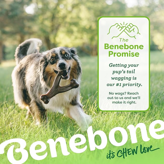 Benebone Tiny 2-Pack Dog Chew Toys, Made in USA, Real Bacon Flavor