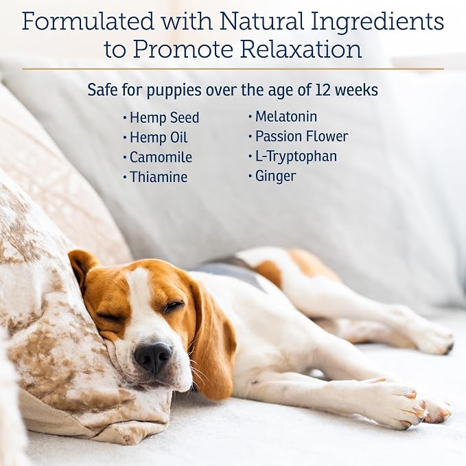 Rx Vitamins NutriCalm - Hemp Calming Chews for Dogs - Dog Calming Chews with Melatonin and Chamomile - Anxiety Relief Treats - Provides Relaxation & Separation Anxiety Relief for Dogs - 120 Capsules