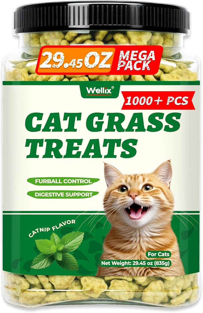 Wellix 29.45 oz Cat Grass Treats with Catnip & Salmon - Healthy Cat Treats for Indoor Cats - Hairball Control & Digestive Support - Kittens Training Snacks for Teeth Cleaning