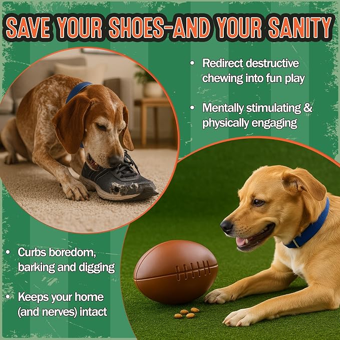 Food Puzzle Feeder for Large or Medium Dogs, 5C | Mentally Stimulating Enrichment Toy, Made in USA, BPA-Free Durable Foraging Toy, Reduces Anxiety and Destructive Behavior