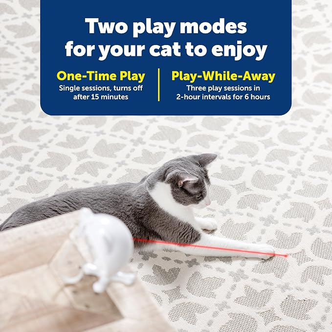 PetSafe Dancing Dot Laser Cat Toy - Interactive Playtime for Cats - 2 Play Modes