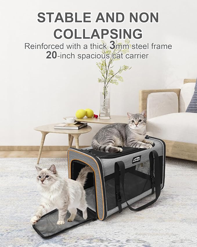 Soft-Sided Large Cat Carrier for 2 Cats, Spacious Foldable Pet Travel Carrier for Large Cats up to 25 Lbs, Double Cat Bag with Shoulder Strap, 20x13x13 Inch, Fits Maine Coon and Small Dogs, Grey