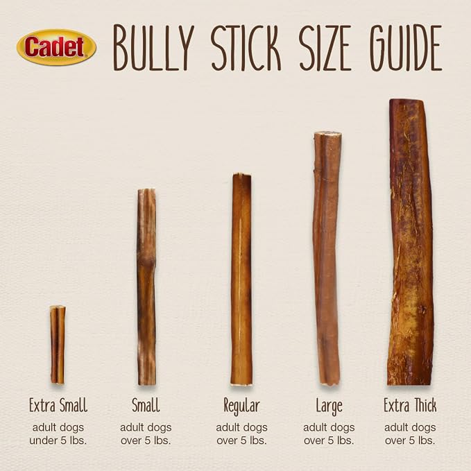 Cadet Bully Sticks for Small Dogs, All-Natural Beef Pizzle, Rawhide-Free Long-Lasting Dog Chews for Aggressive Chewers, 1 Pound