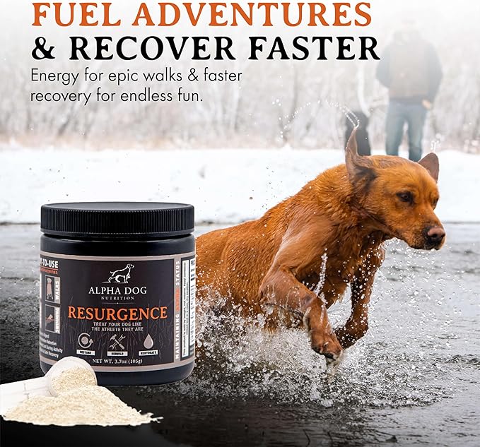 Active K9 Bundle: Free Range Joint Support + Resurgence Electrolytes
