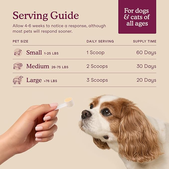 Fera Pets Bladder Support - Cranberry Supplement for Dogs & Cats - 60 Scoops
