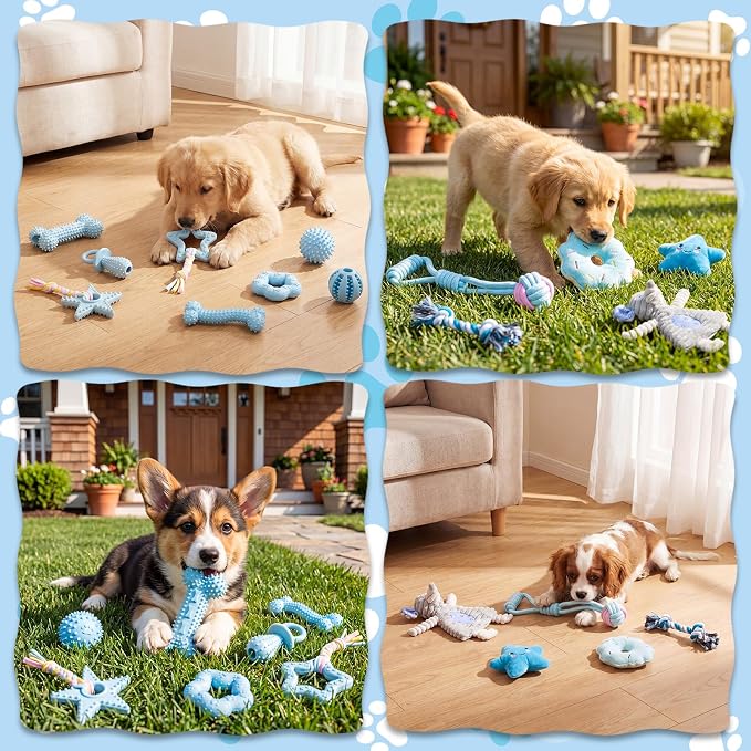 Leitee 14 Pcs Puppy Toys for Teething Dog Chew Toys for Small Dogs Soft Interactive Squeaky Plush Balls Doggy Teeth Tug of War and Rope for Small Dogs Puppy (Classic,Blue)