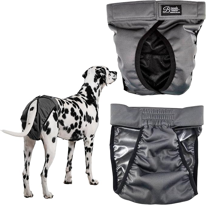 FINNERO Brenda Reusable Dog Diaper, Leak-Proof, Adjustable, Heat & Incontinence Protection, XXS – Gray