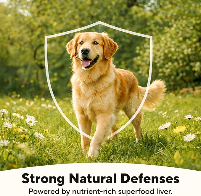 Dave's Pet Food Carbolight Carbohydrate & Weight Management for Diabetic Dogs Canned Dog Food, Chicken Dinner, 13oz can (12 Pack)