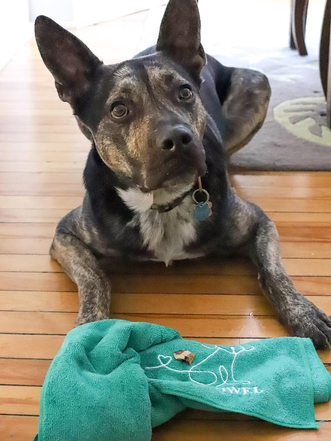 Treat Towel for Dogs – Snuffle Towel for Mental Stimulation & Enrichment, Interactive Lick Mat Alternative, Washable Microfiber, Boredom Buster Nose Work Toy for All Breeds – Green