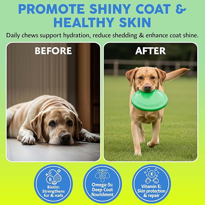 Asher House Wellness Skin & Coat Chews - Now Lillie & Lee - Dog Itching Skin Relief with Omega 3, 6, 9, Fish Oil, Biotin - Dogs Itchy Paw Licking Chewable Treats - 120 Soft Chews