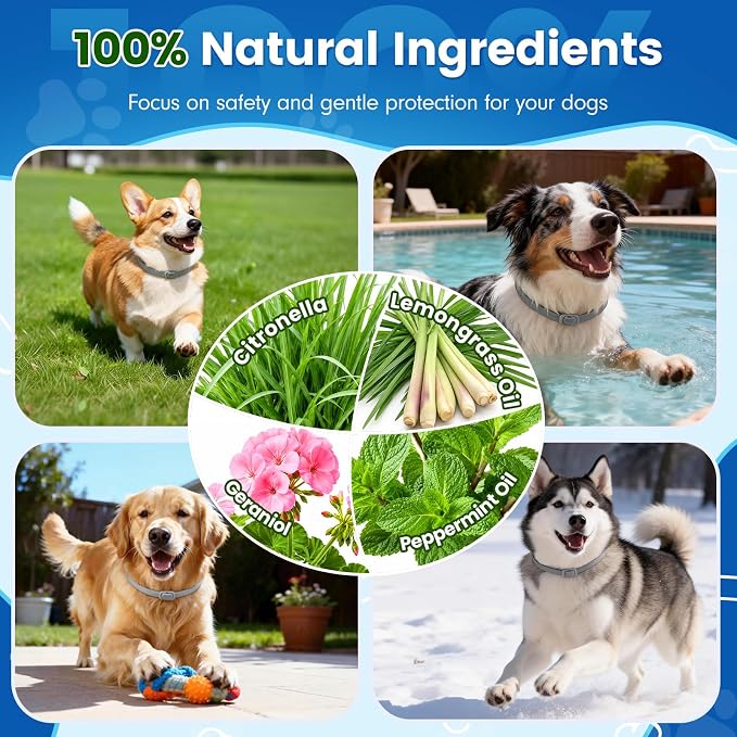 KOOSA Flea and Tick Collar for Dogs, 5 Packs Flea Collar for Dogs with Natural Essential Oils, Waterproof & Adjustable Flea and Tick Prevention Collar for Small Medium Large Dogs & Puppies, Grey 01