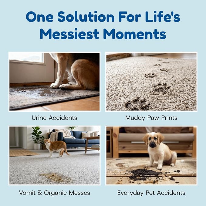 Bioclean Pet Carpet Cleaner & Deodorizer – Eliminates Pet Urine Smell, Stain & Odor Remover, No Residue, Made in USA – 16oz