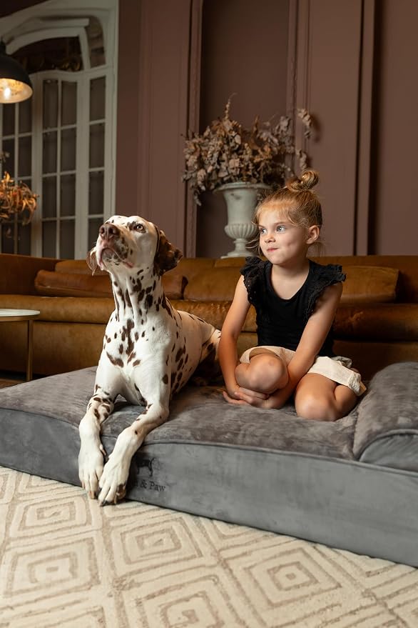 NOAH & PAW XL Dog Bed, 45x35x9.1 Inch, Orthopedic Large Dog Beds, Eggshell Memory Foam Infused with Cooling Gel, Water Resistant, Machine Washable, Includes Inner Cover (Velvet Collection)